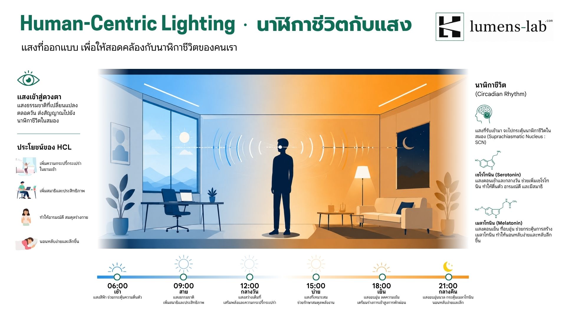 Human-Centric Lighting (HCL): แสงที่ออกแบบมาเพื่อร่างกายคุณ